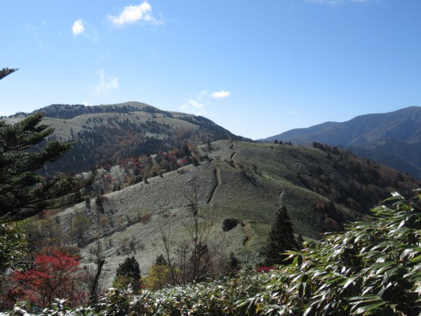 登山道